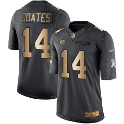 Nike Steelers #14 Sammie Coates Black Youth Stitched NFL Limited Gold Salute to Service Jersey